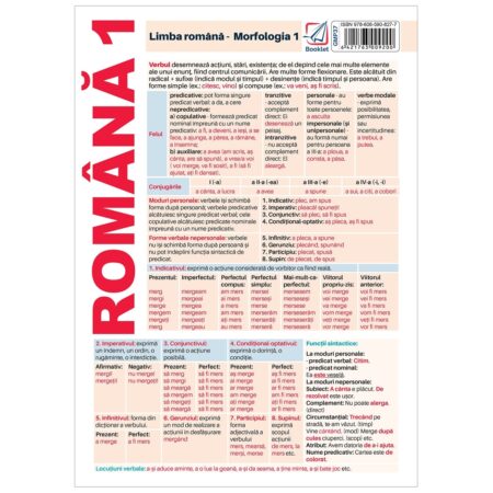 Pliant limba romana - Morfologie 1